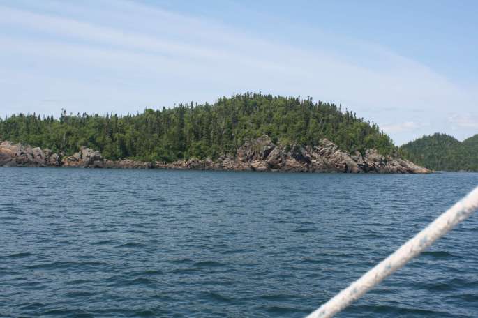 In the Channel to Woodbine