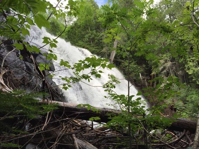 Falls from the Bottom