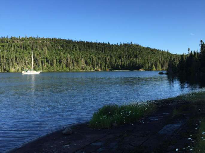 Noodin at Loon Harbour