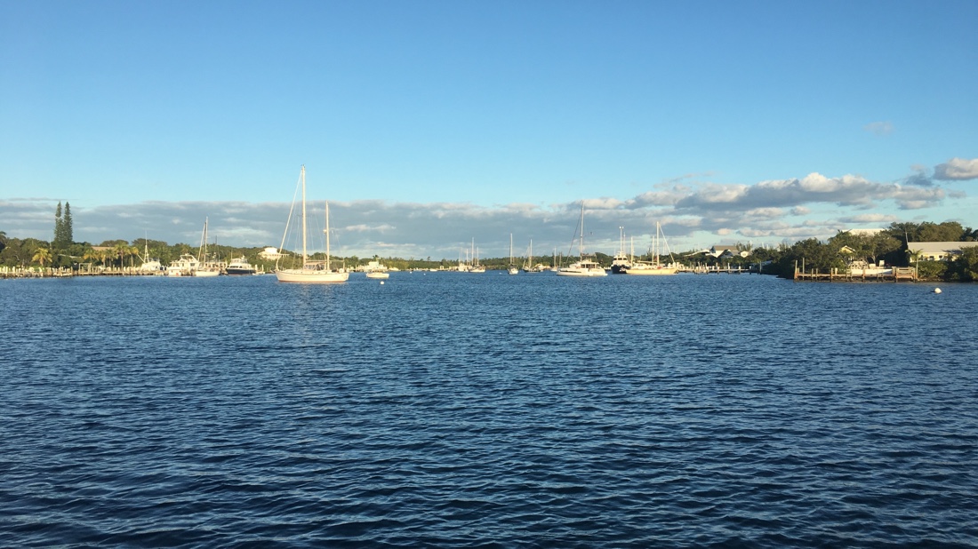 Hanging Out at New&nbsp;Plymouth